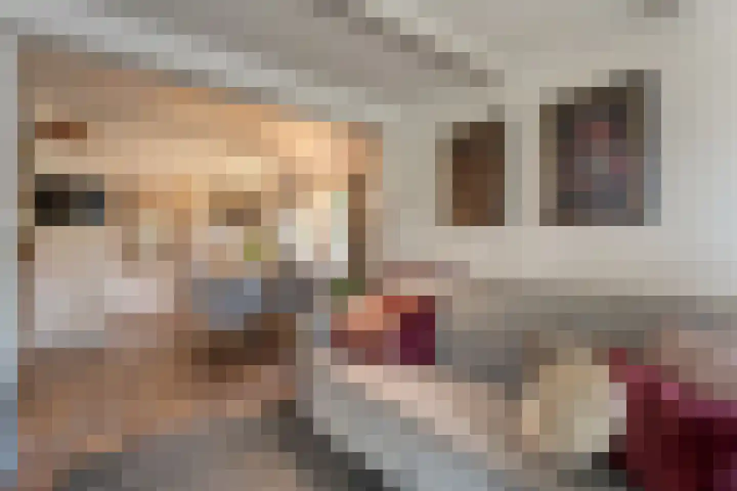 Oudeweg 21 Ossenzijl thumbnail 16