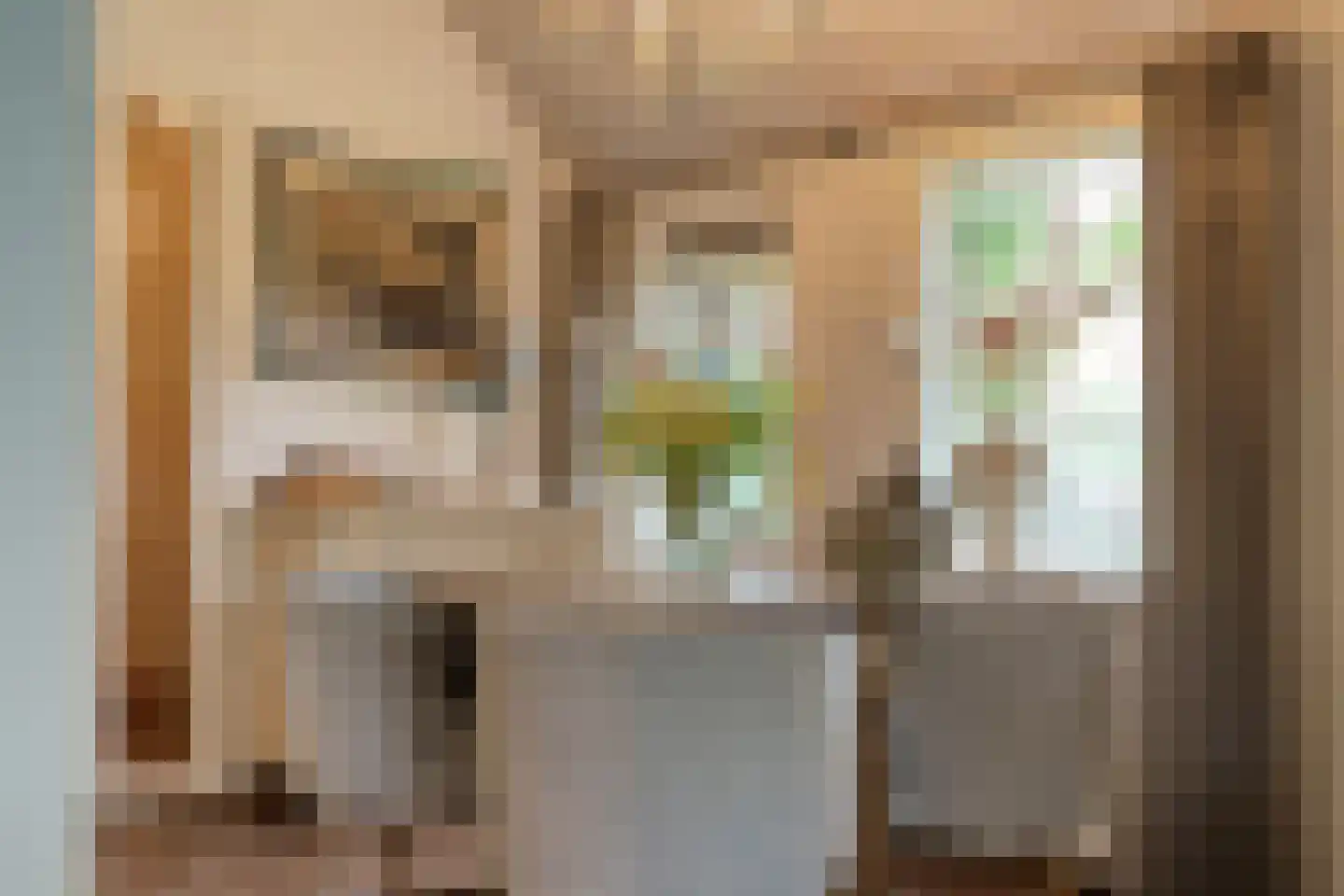 Oudeweg 21 Ossenzijl thumbnail 17