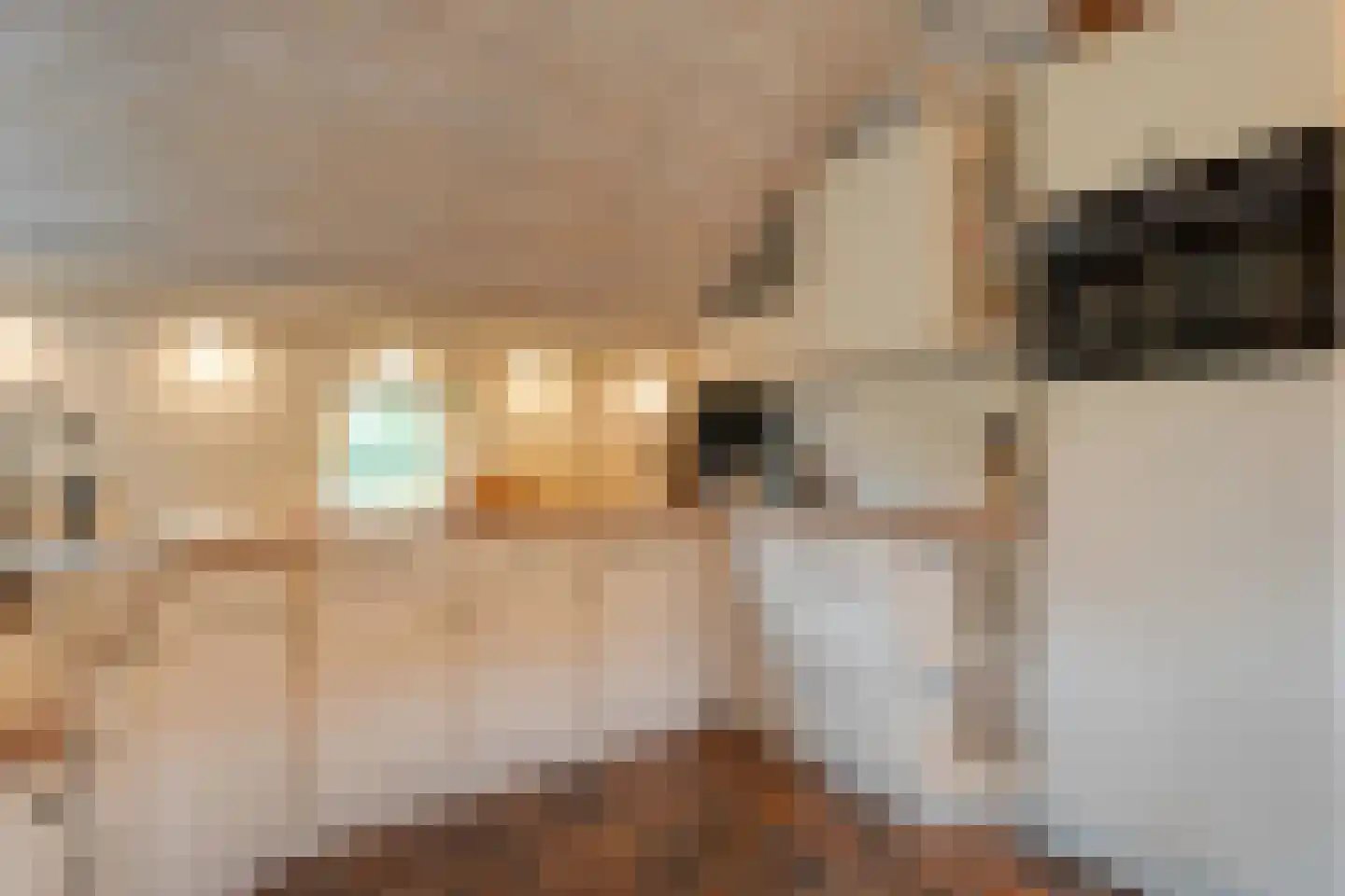 Oudeweg 21 Ossenzijl thumbnail 18