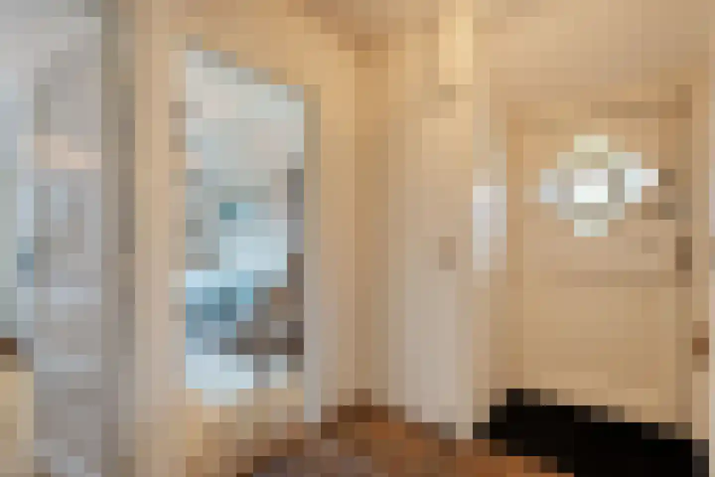 Oudeweg 21 Ossenzijl thumbnail 20