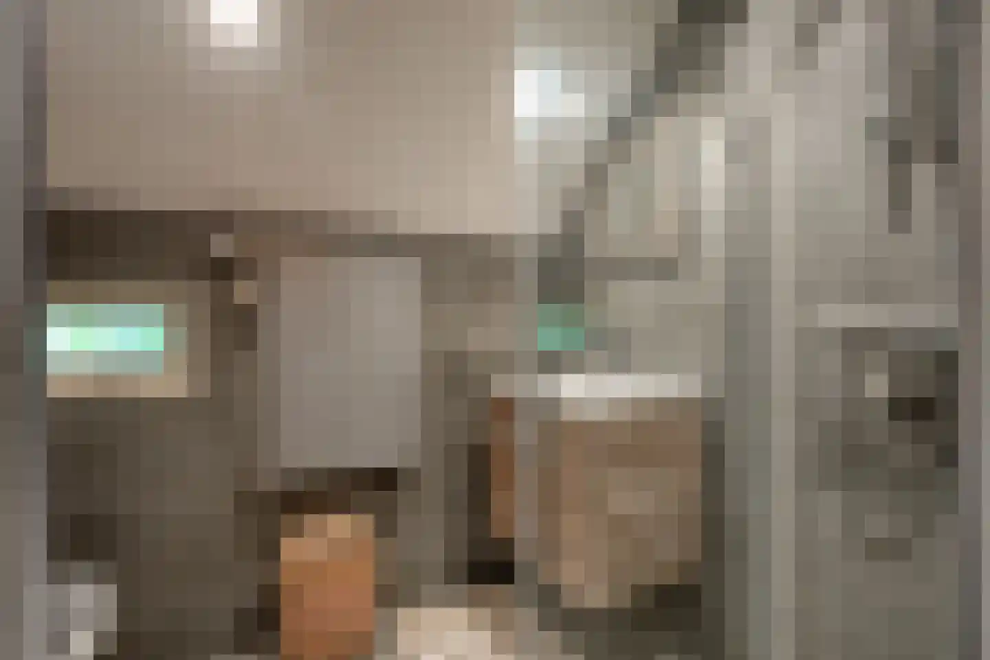 Oudeweg 21 Ossenzijl thumbnail 25