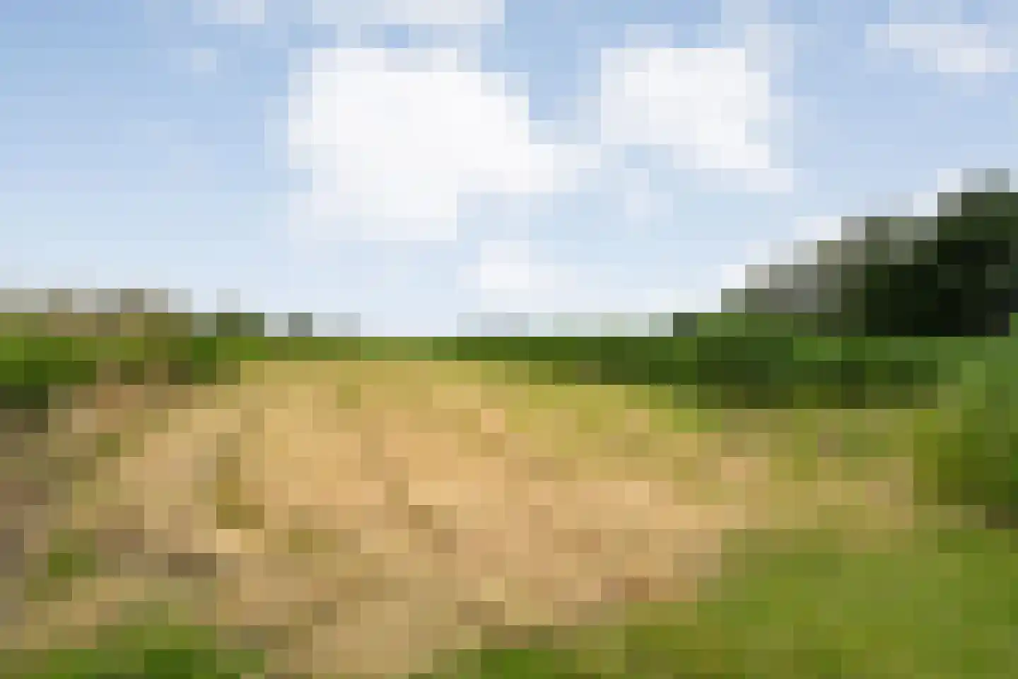 Oudeweg 21 Ossenzijl thumbnail 38