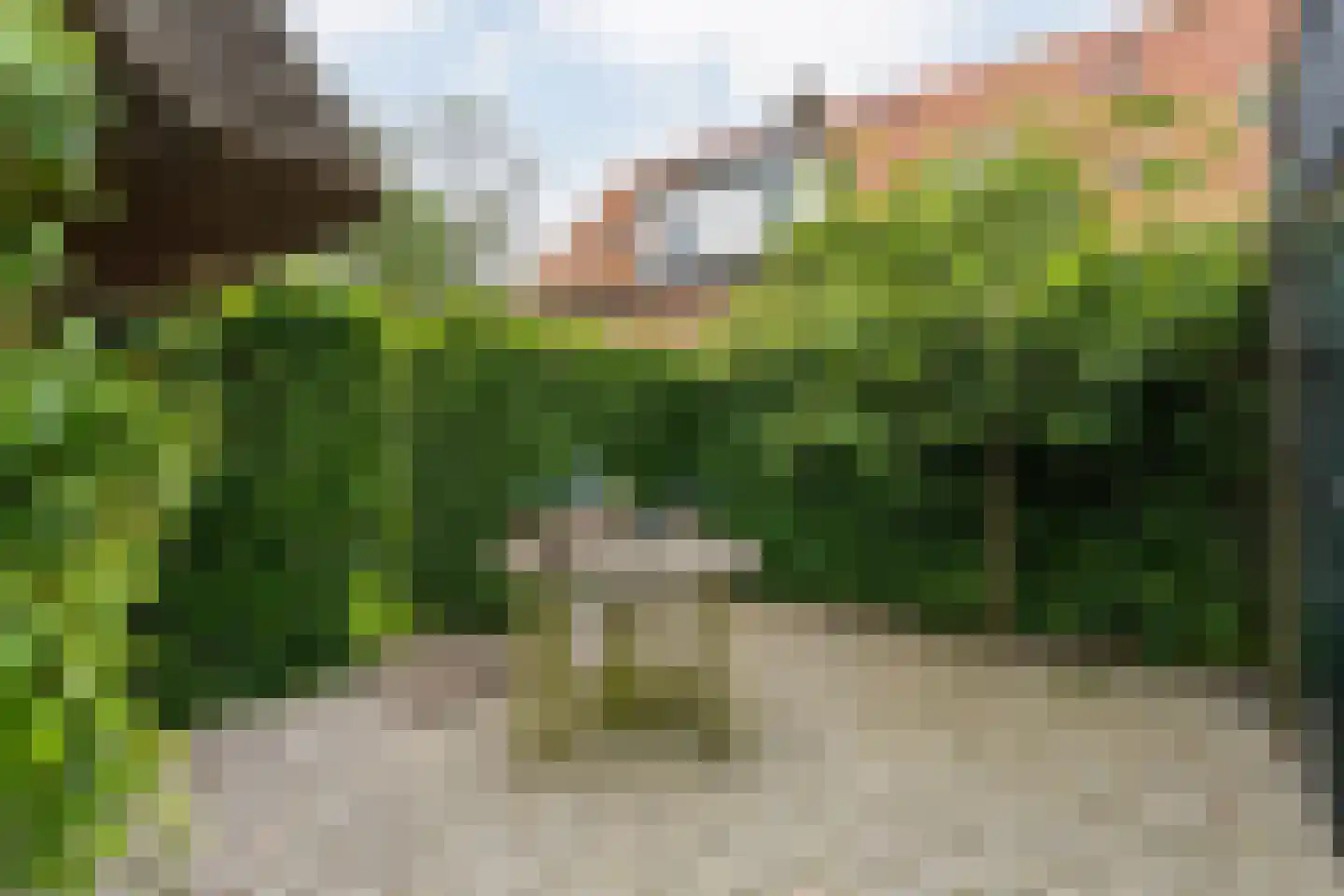 Oudeweg 21 Ossenzijl thumbnail 43