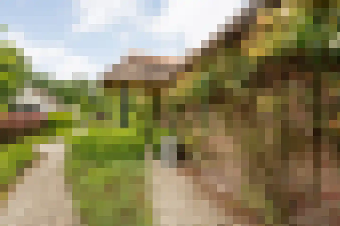 Oudeweg 21 Ossenzijl thumbnail 46