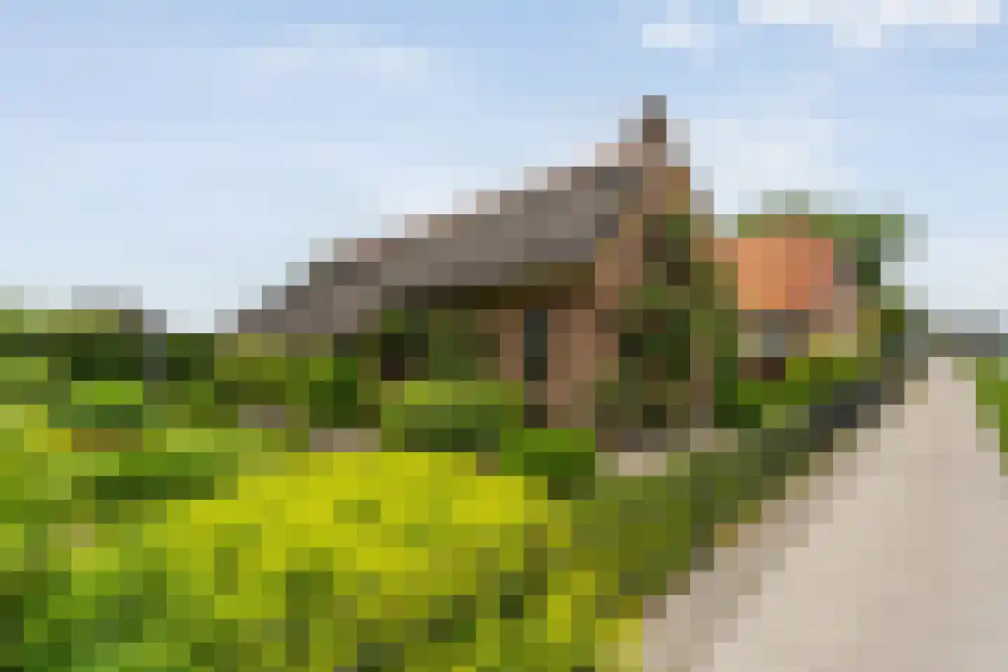 Oudeweg 21 Ossenzijl thumbnail 49