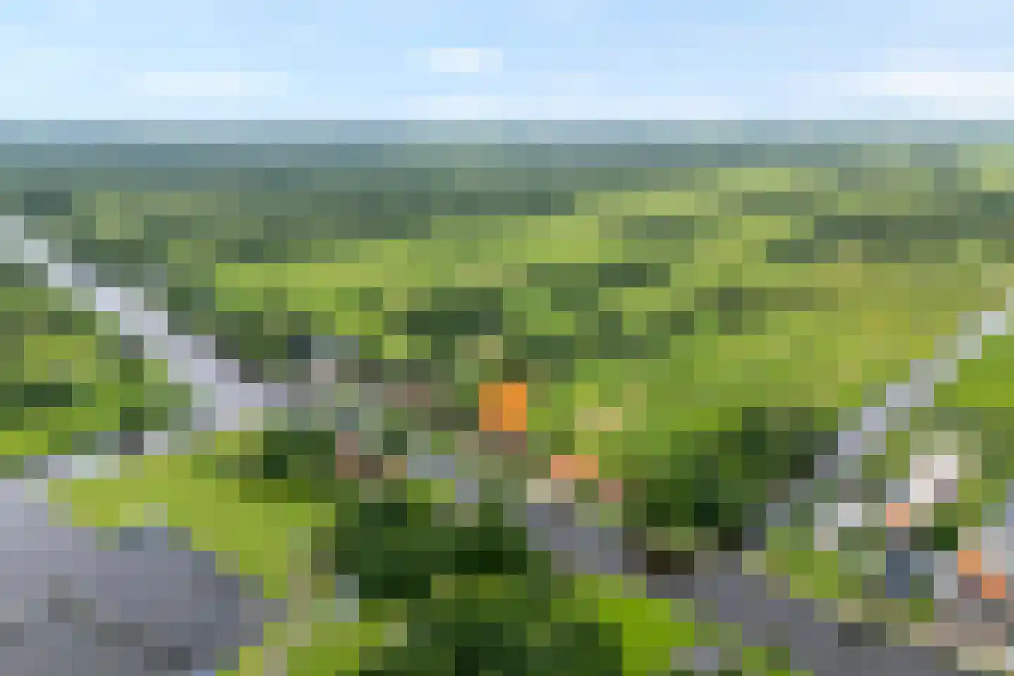 Oudeweg 21 Ossenzijl thumbnail 5