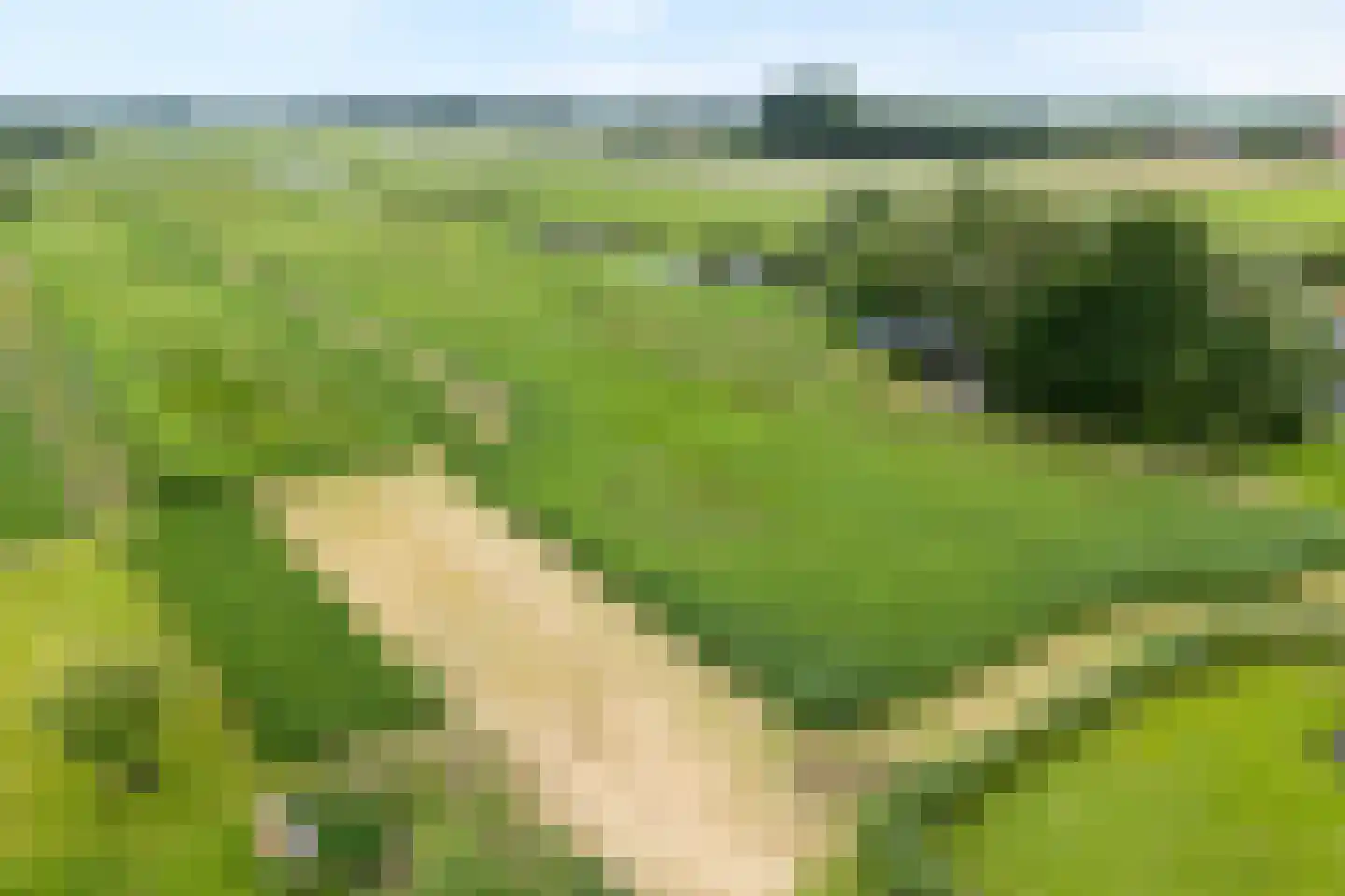 Oudeweg 21 Ossenzijl thumbnail 52