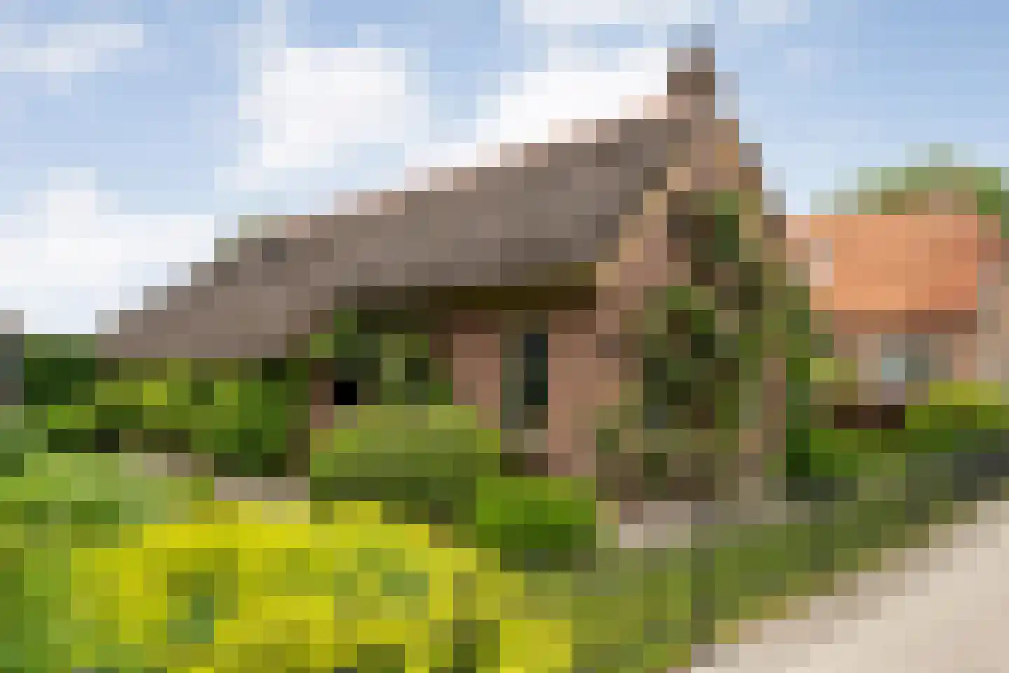 Oudeweg 21 Ossenzijl thumbnail 60