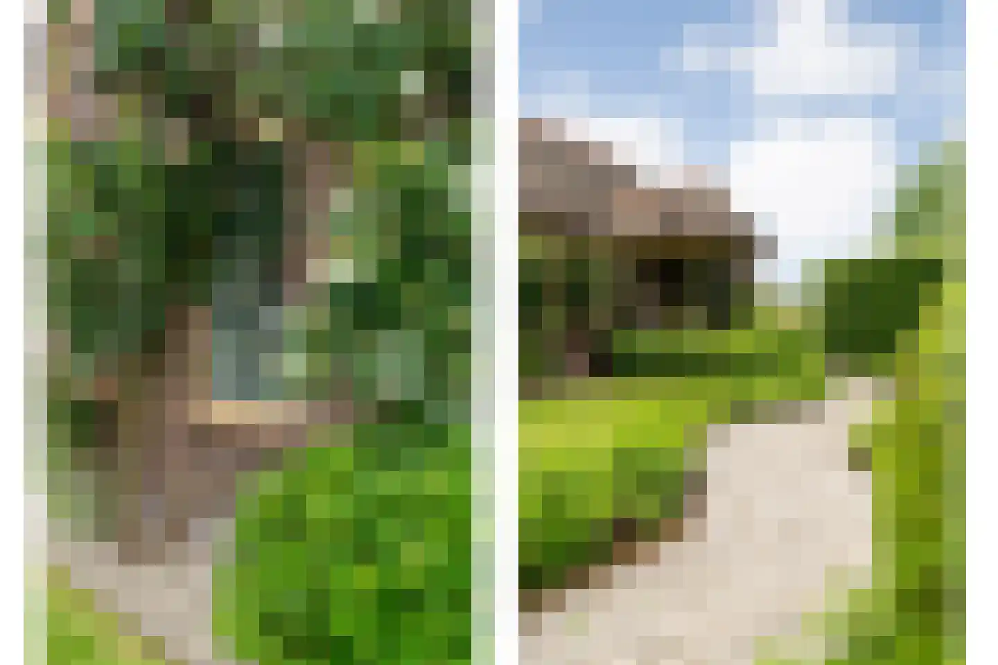 Oudeweg 21 Ossenzijl thumbnail 64