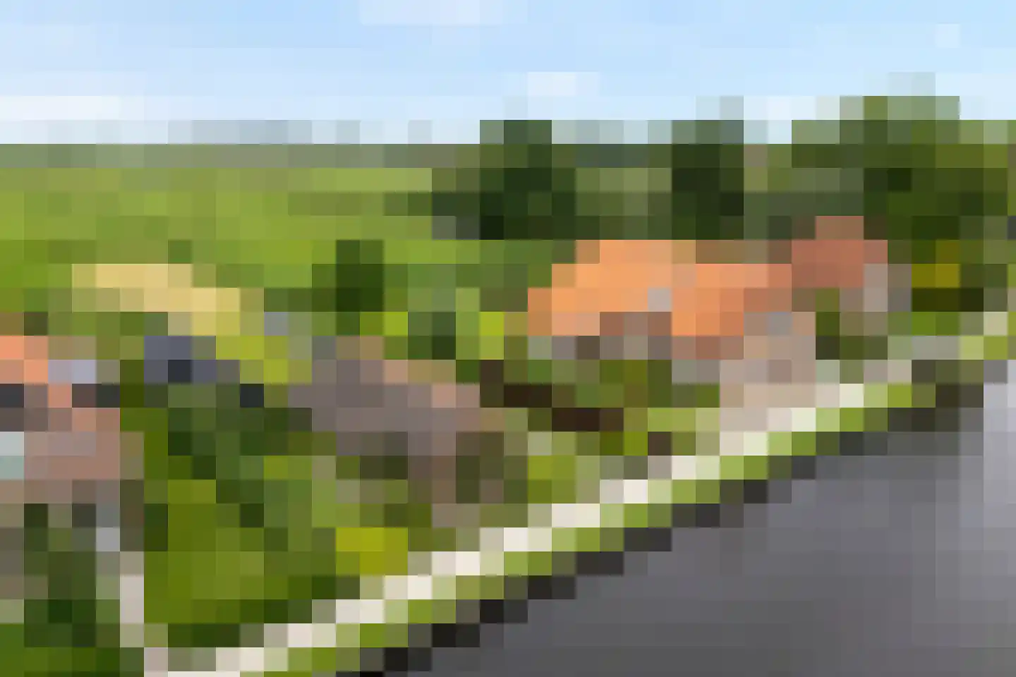 Oudeweg 21 Ossenzijl thumbnail 67
