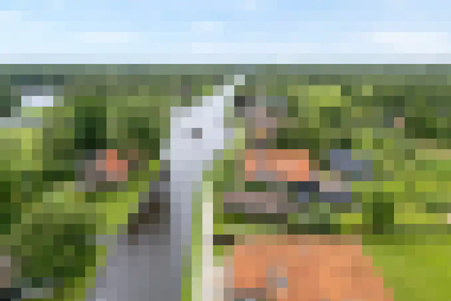 Oudeweg 21 Ossenzijl thumbnail 69