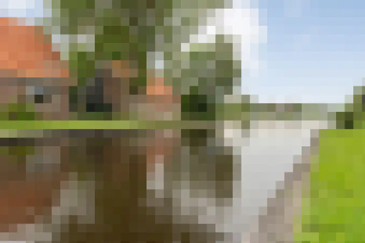 Oudeweg 21 Ossenzijl thumbnail 71