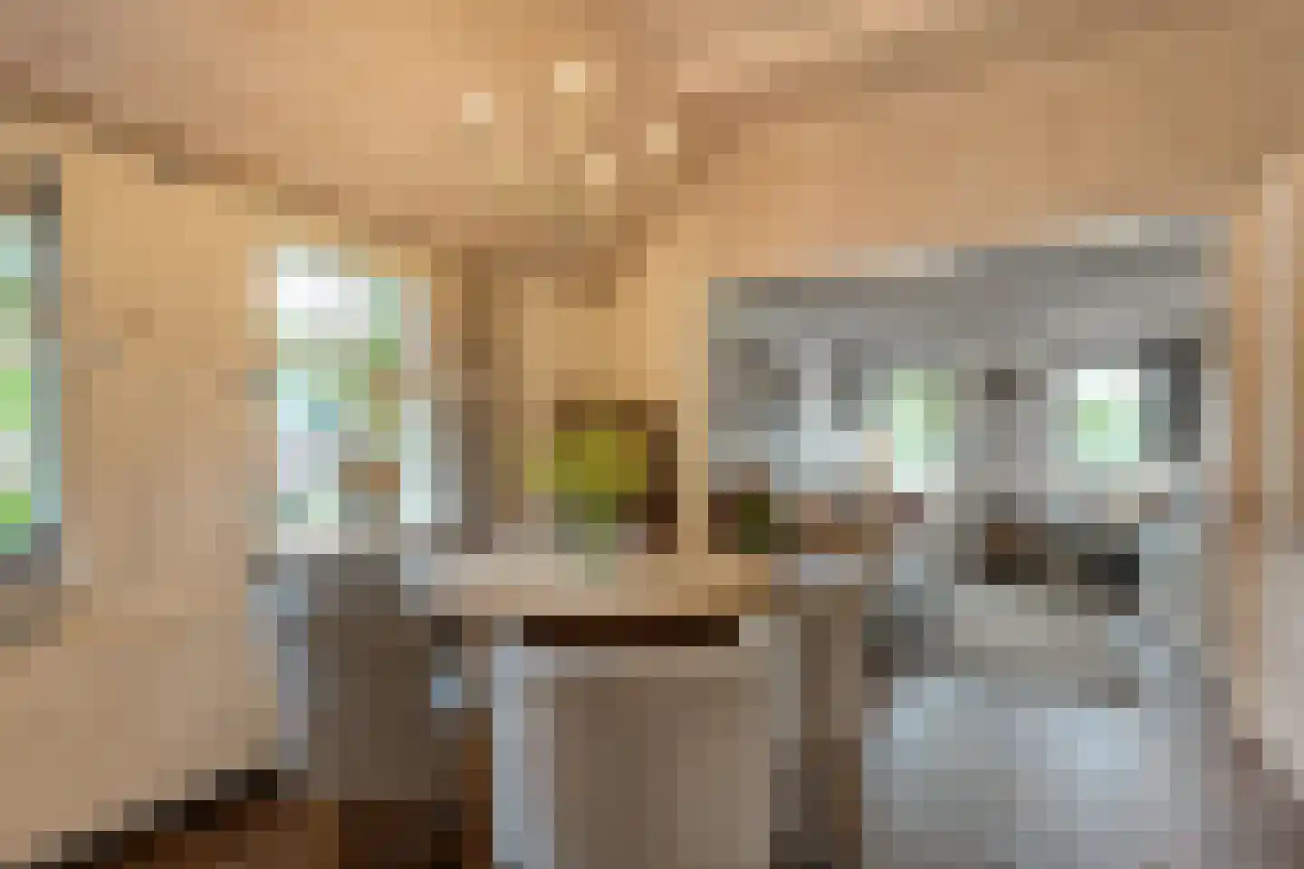 Oudeweg 21 Ossenzijl thumbnail 9