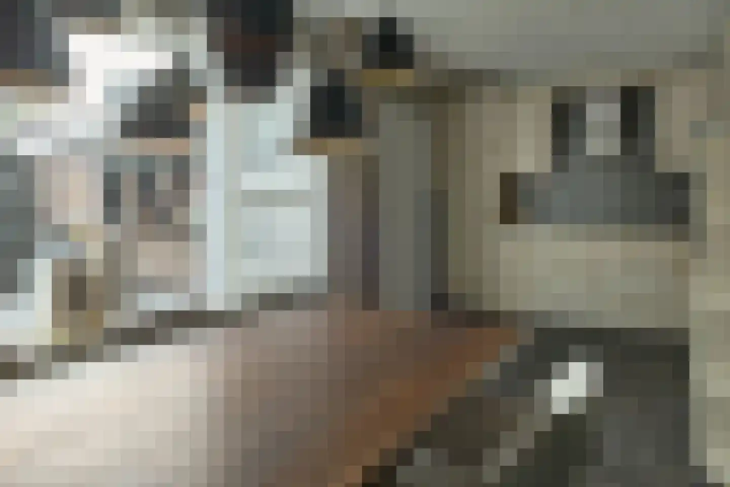 Oudeweg 212 Drachten thumbnail 17