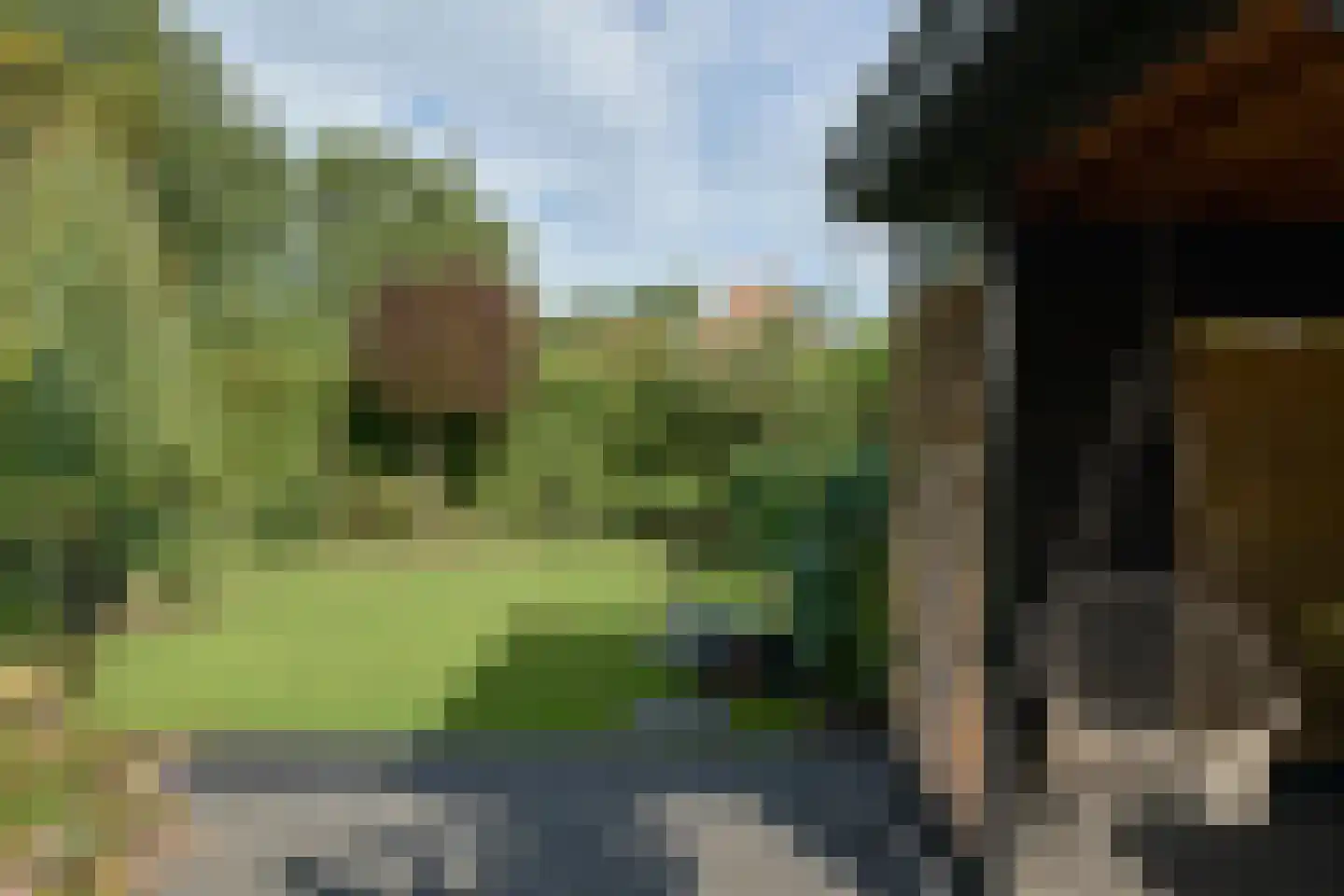 Oudeweg 212 Drachten thumbnail 44