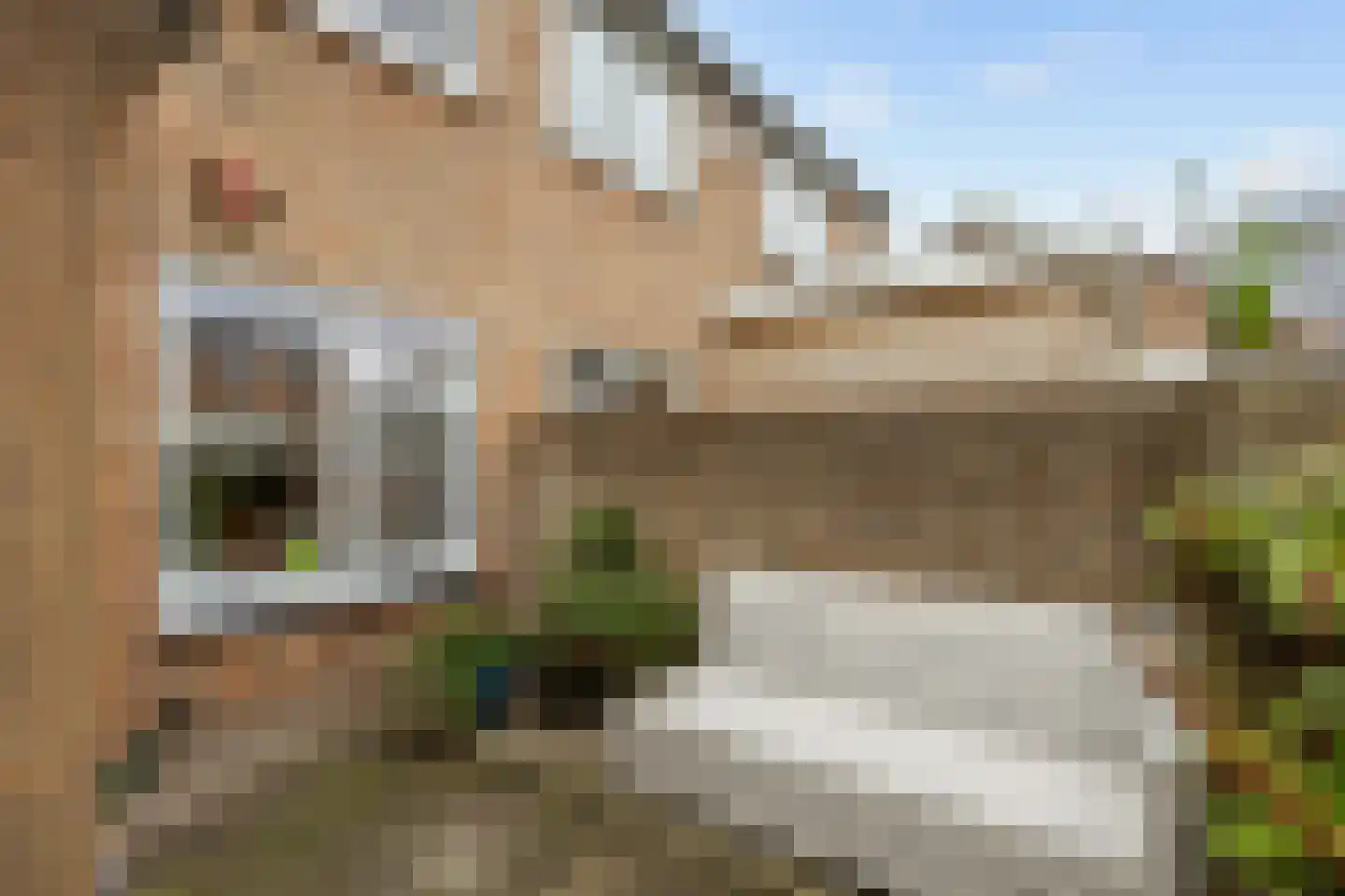 Oudeweg 22 Eenrum thumbnail 35