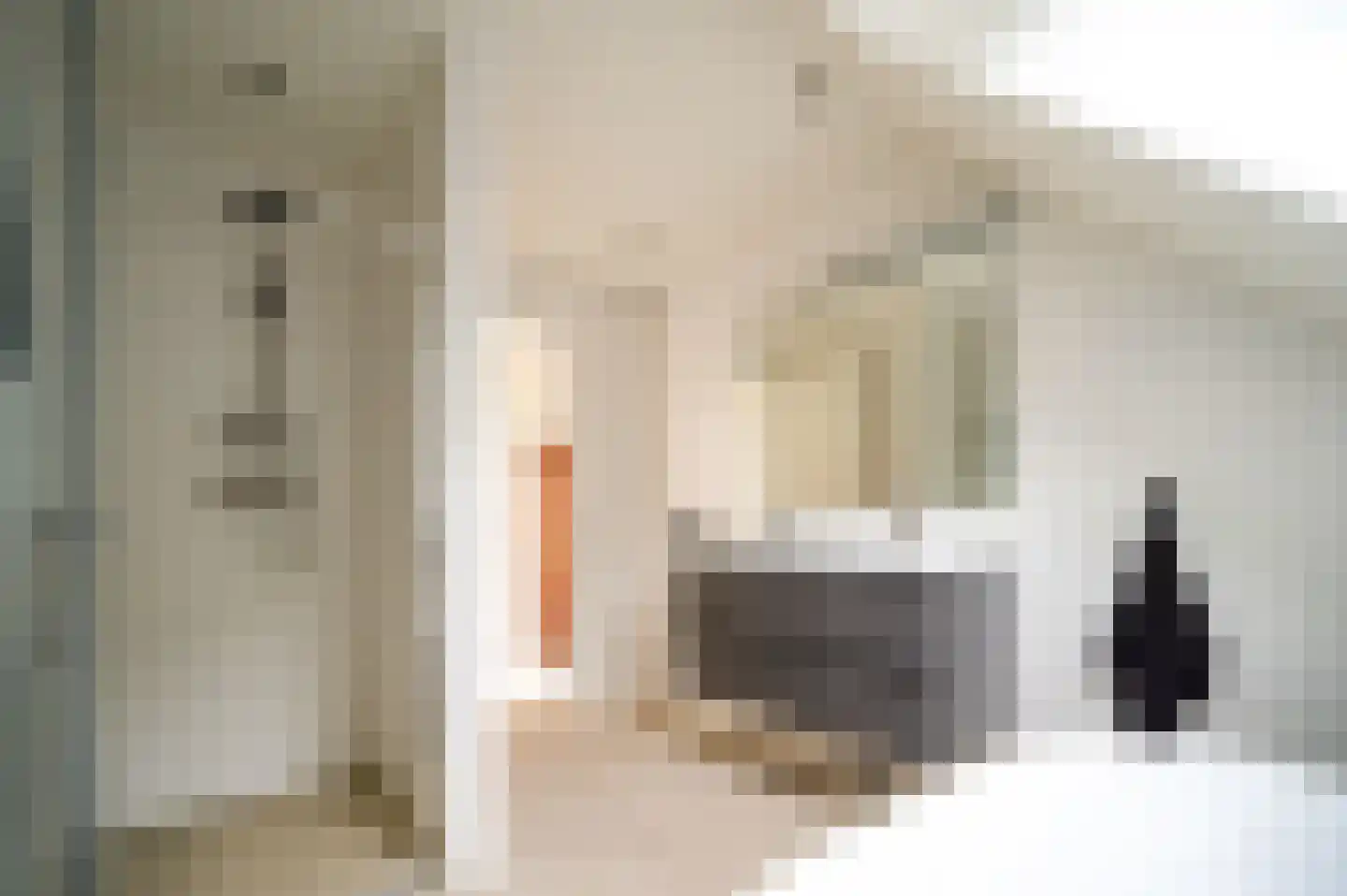 Oudeweg 22 Hulshorst thumbnail 22