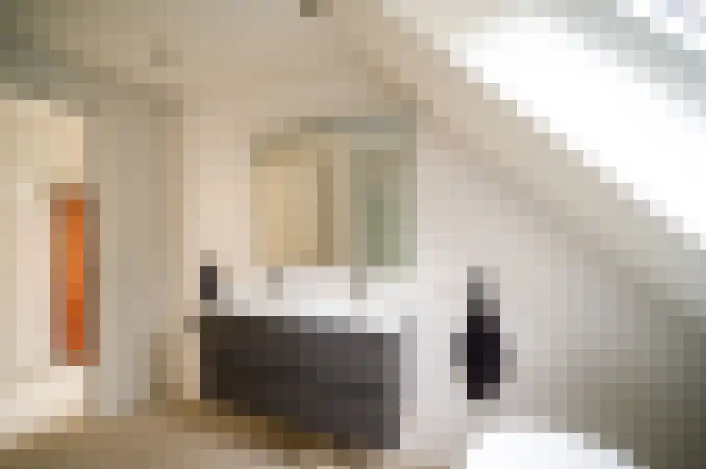 Oudeweg 22 Hulshorst thumbnail 24