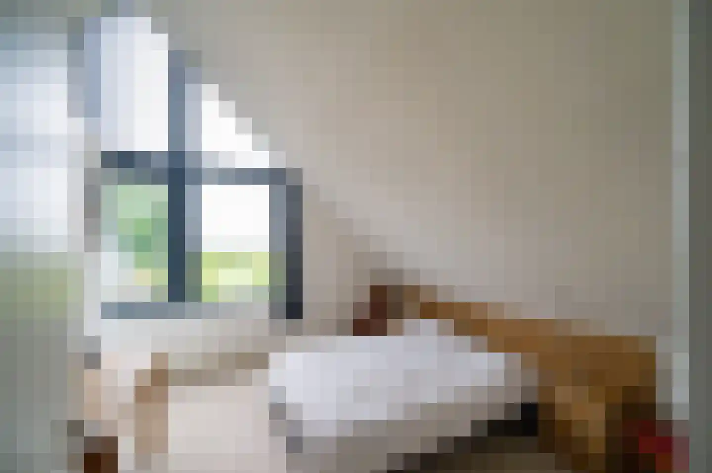 Oudeweg 22 Hulshorst thumbnail 26