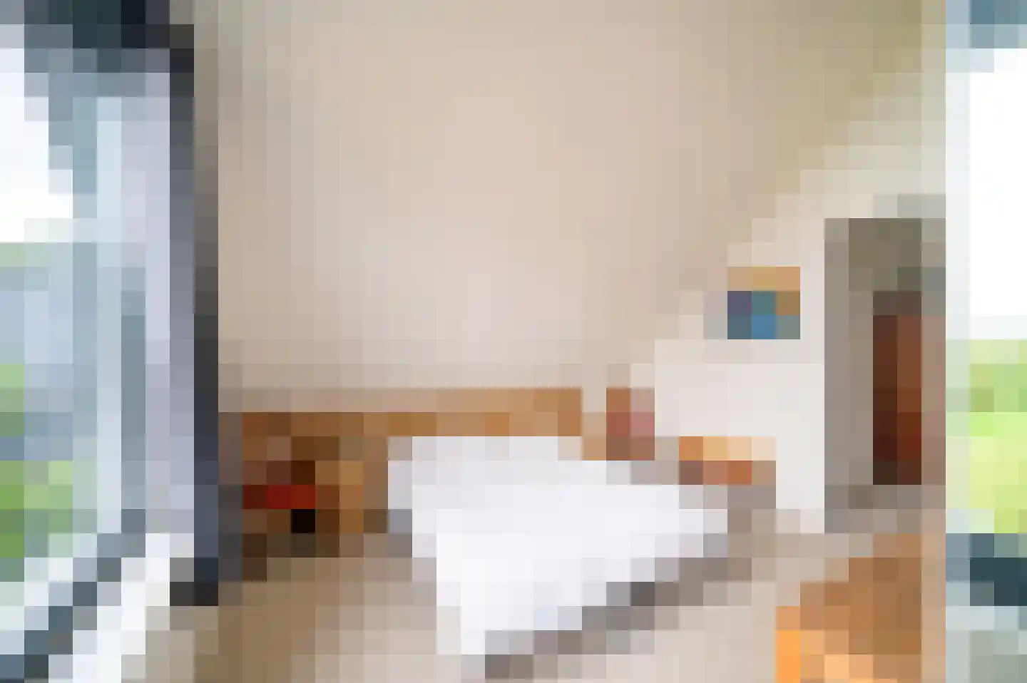 Oudeweg 22 Hulshorst thumbnail 27