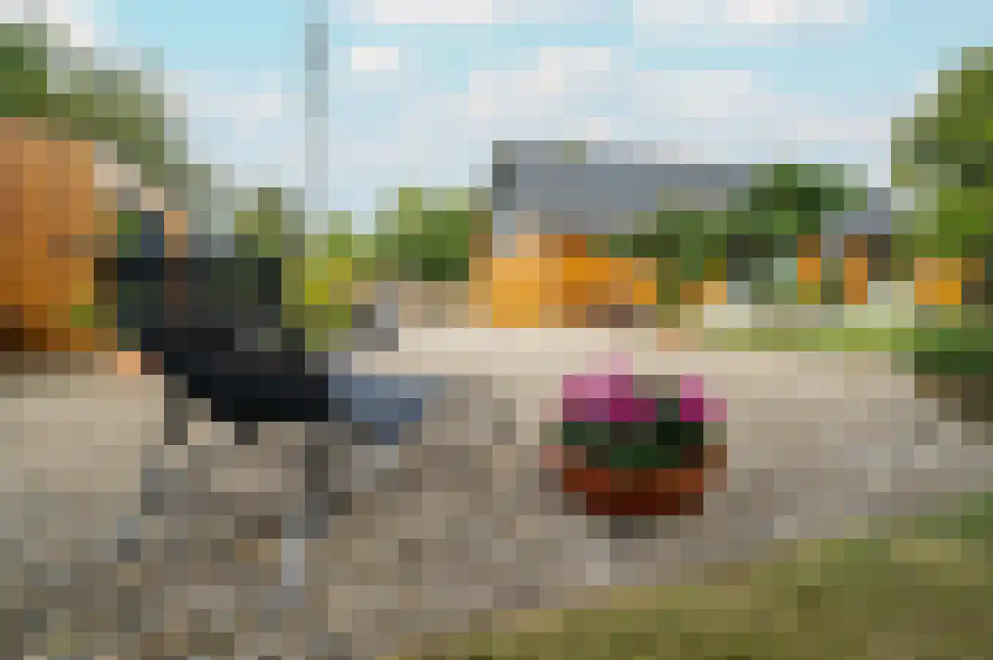 Oudeweg 22 Hulshorst thumbnail 30