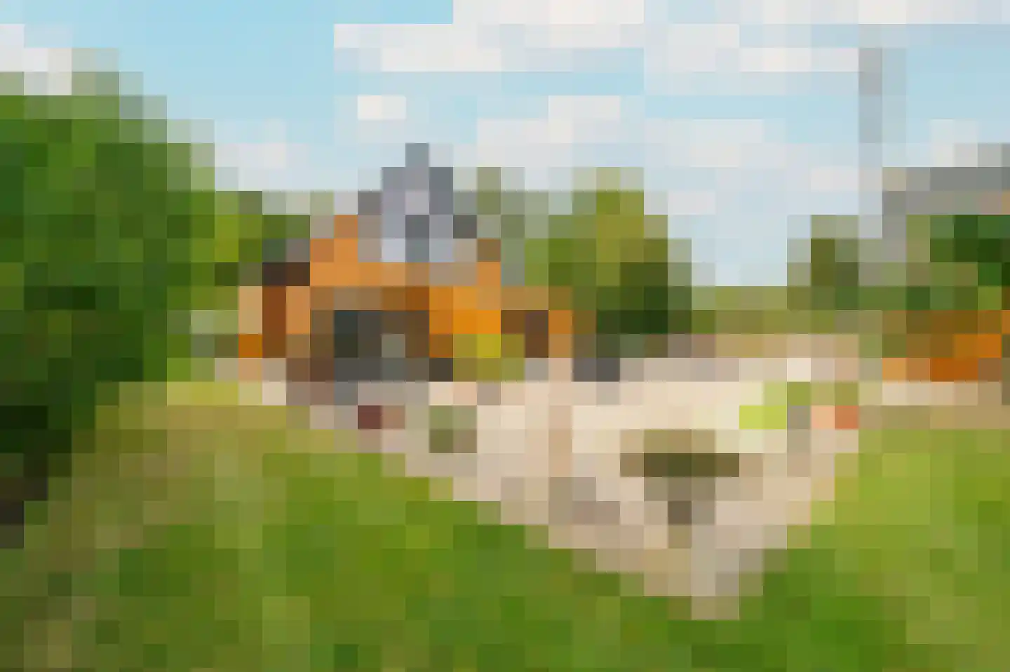 Oudeweg 22 Hulshorst thumbnail 36