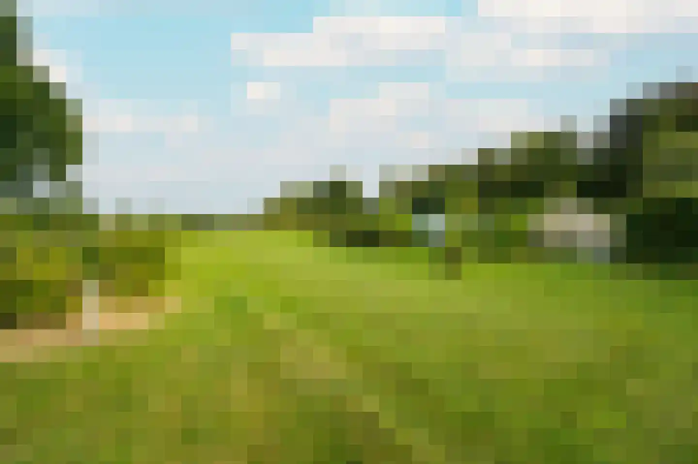 Oudeweg 22 Hulshorst thumbnail 43