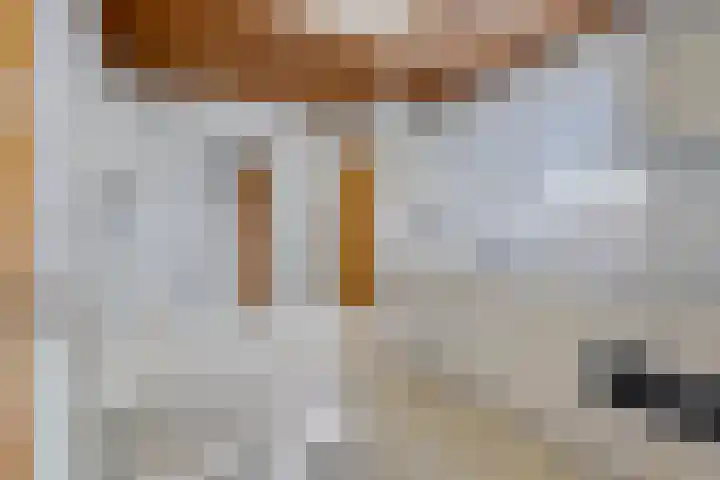 Oudeweg 23 Swalmen thumbnail 16