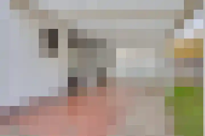 Oudeweg 23 Swalmen thumbnail 39