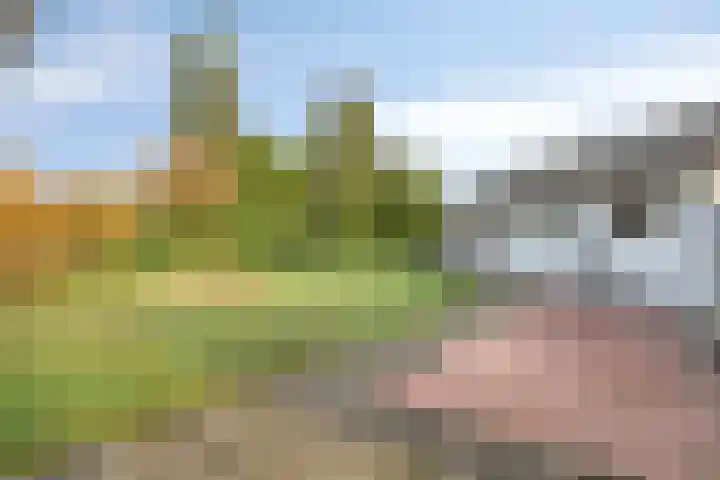 Oudeweg 23 Swalmen thumbnail 40