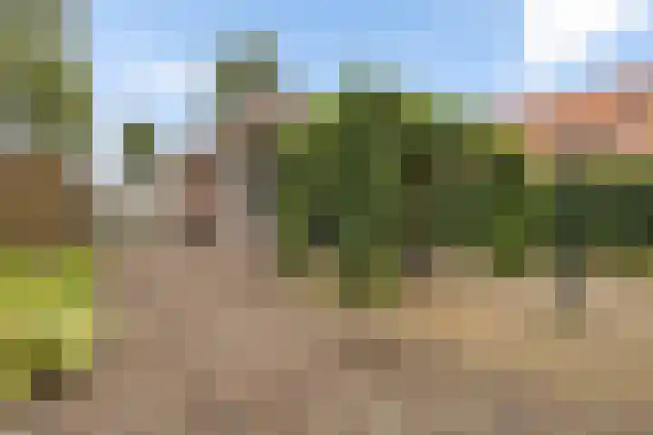 Oudeweg 25 Siddeburen thumbnail 14
