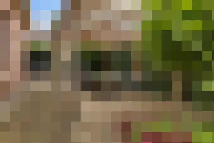 Oudeweg 25 Siddeburen thumbnail 16