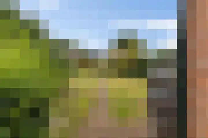 Oudeweg 25 Siddeburen thumbnail 17