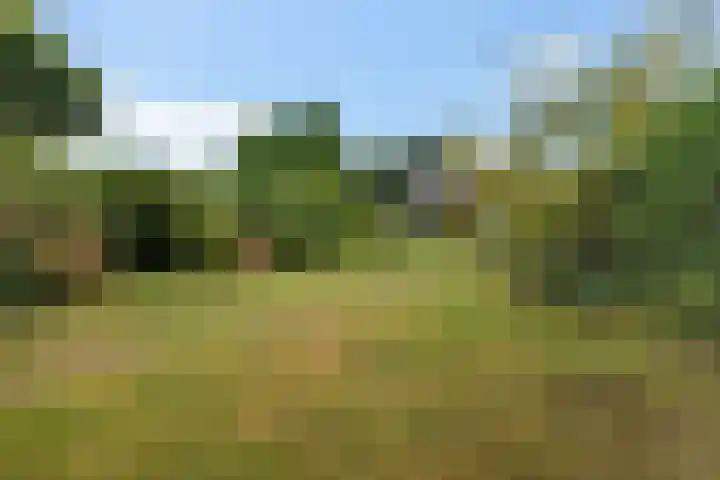 Oudeweg 25 Siddeburen thumbnail 18