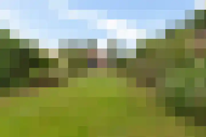 Oudeweg 25 Siddeburen thumbnail 19