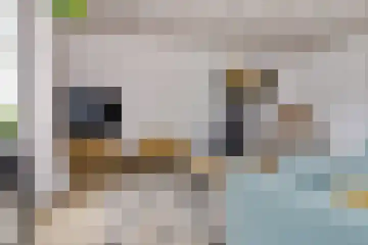 Oudeweg 25 Siddeburen thumbnail 28