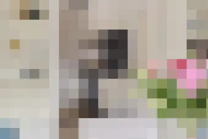 Oudeweg 25 Siddeburen thumbnail 5