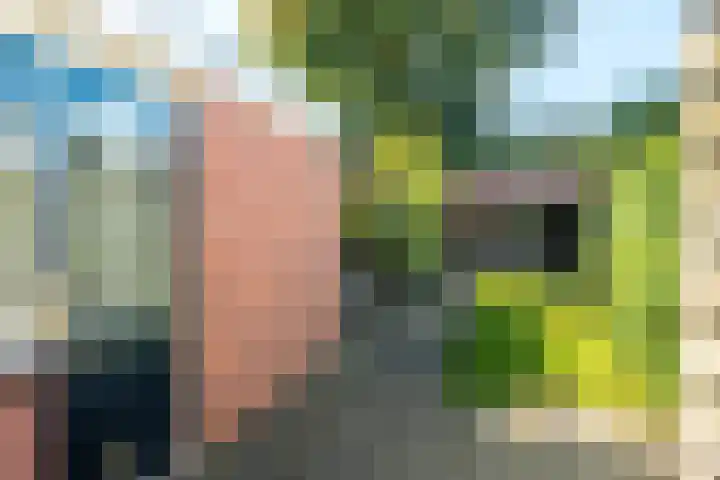 Oudeweg 29 Drachten thumbnail 30