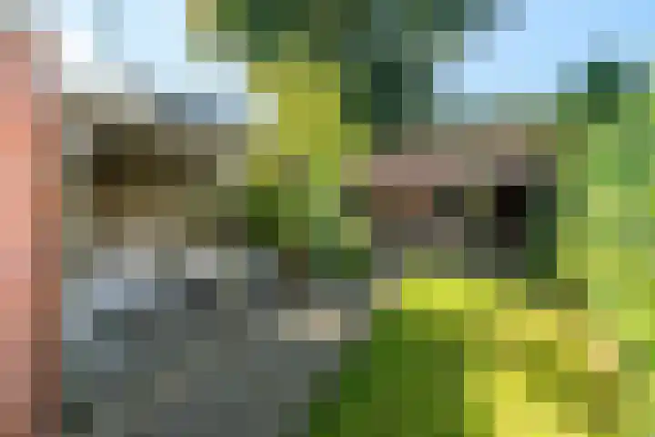 Oudeweg 29 Drachten thumbnail 5