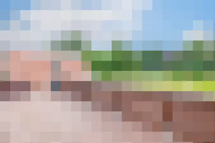 Oudeweg 3 Drieborg thumbnail 19