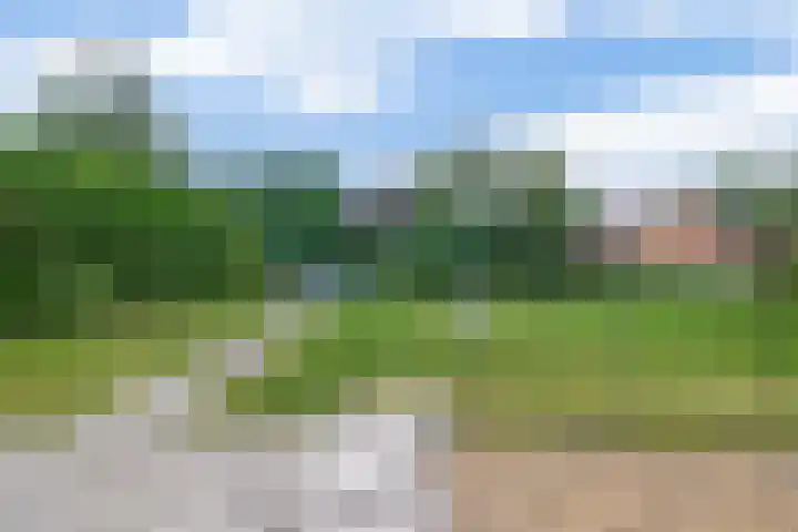 Oudeweg 3 Drieborg thumbnail 33