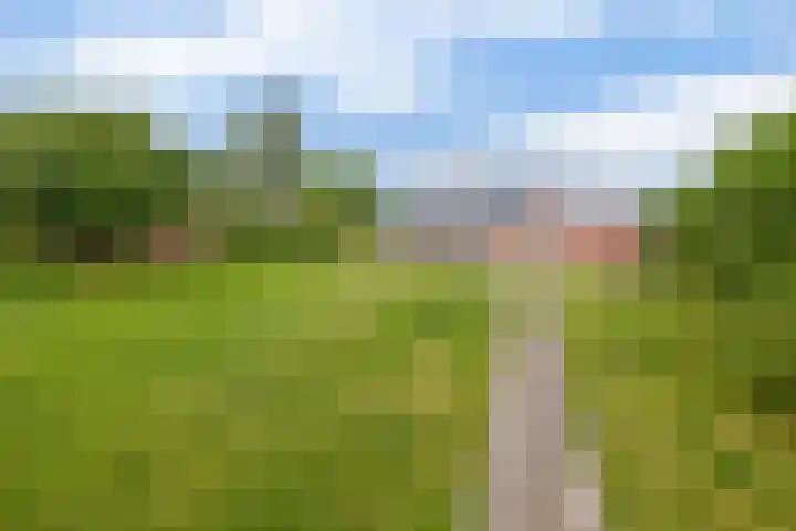 Oudeweg 3 Drieborg thumbnail 35