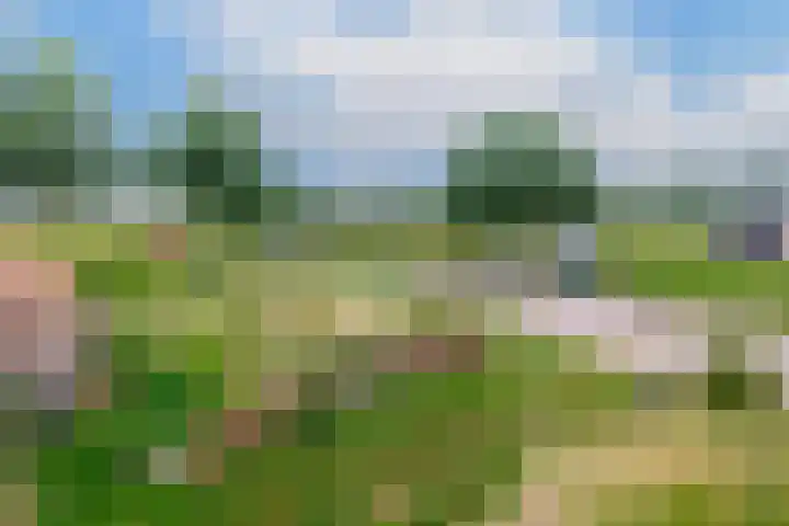 Oudeweg 3 Drieborg thumbnail 40
