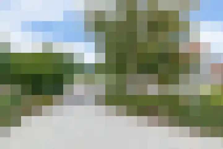 Oudeweg 3 Drieborg thumbnail 41