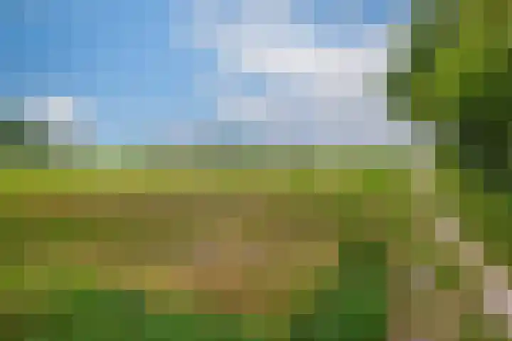 Oudeweg 3 Drieborg thumbnail 42