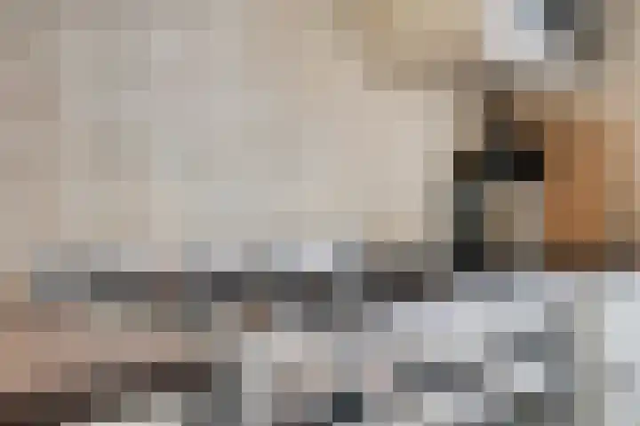 Oudeweg 31 Axel thumbnail 10