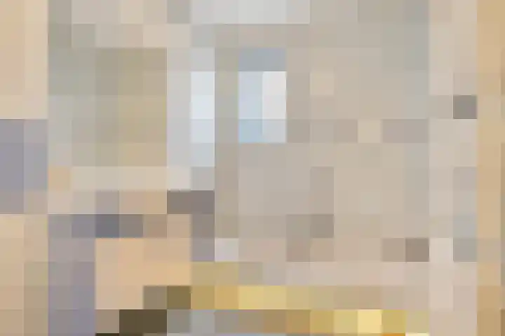 Oudeweg 31 Axel thumbnail 13