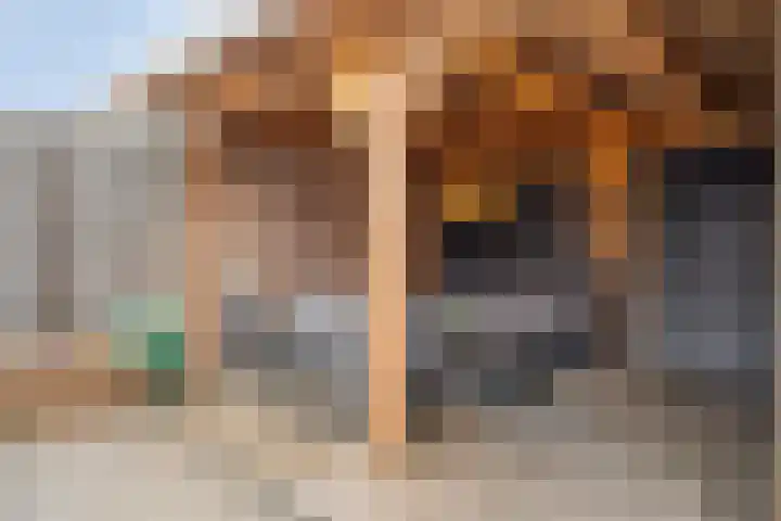Oudeweg 31 Axel thumbnail 23