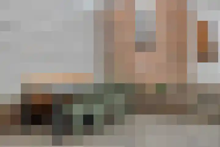 Oudeweg 31 Axel thumbnail 24