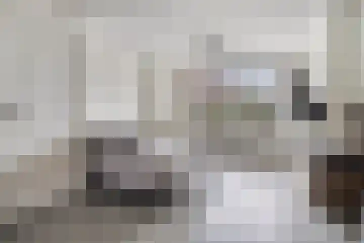 Oudeweg 31 Axel thumbnail 4